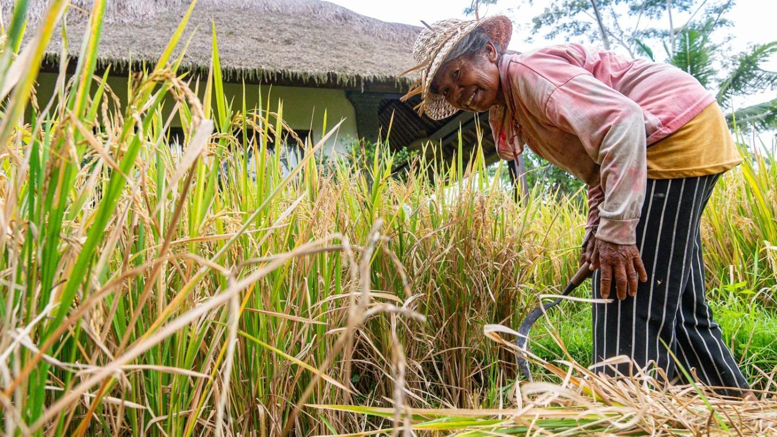 Villa Amrita Ubud Exteriér fotografie